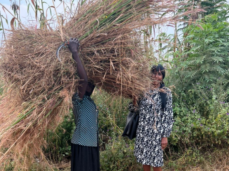 Ps pooshani meet up a lady who cut grass in the bush and sells them for a living.