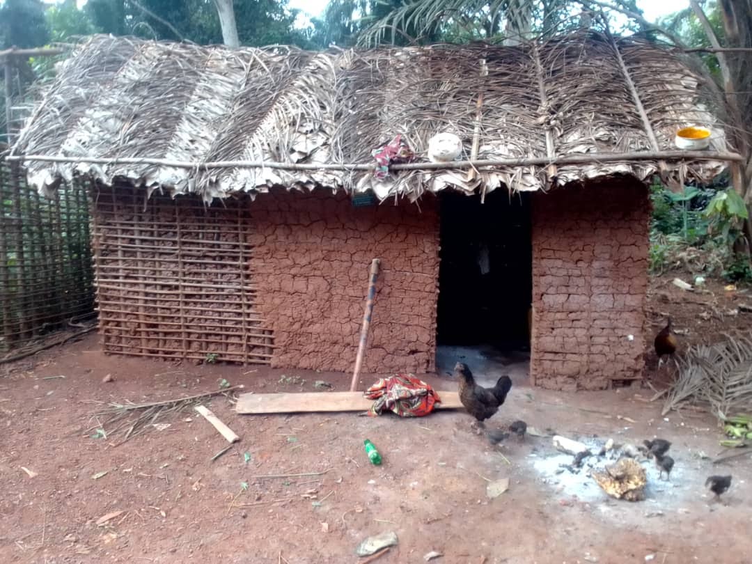 ICM - Congo Pygmy Village