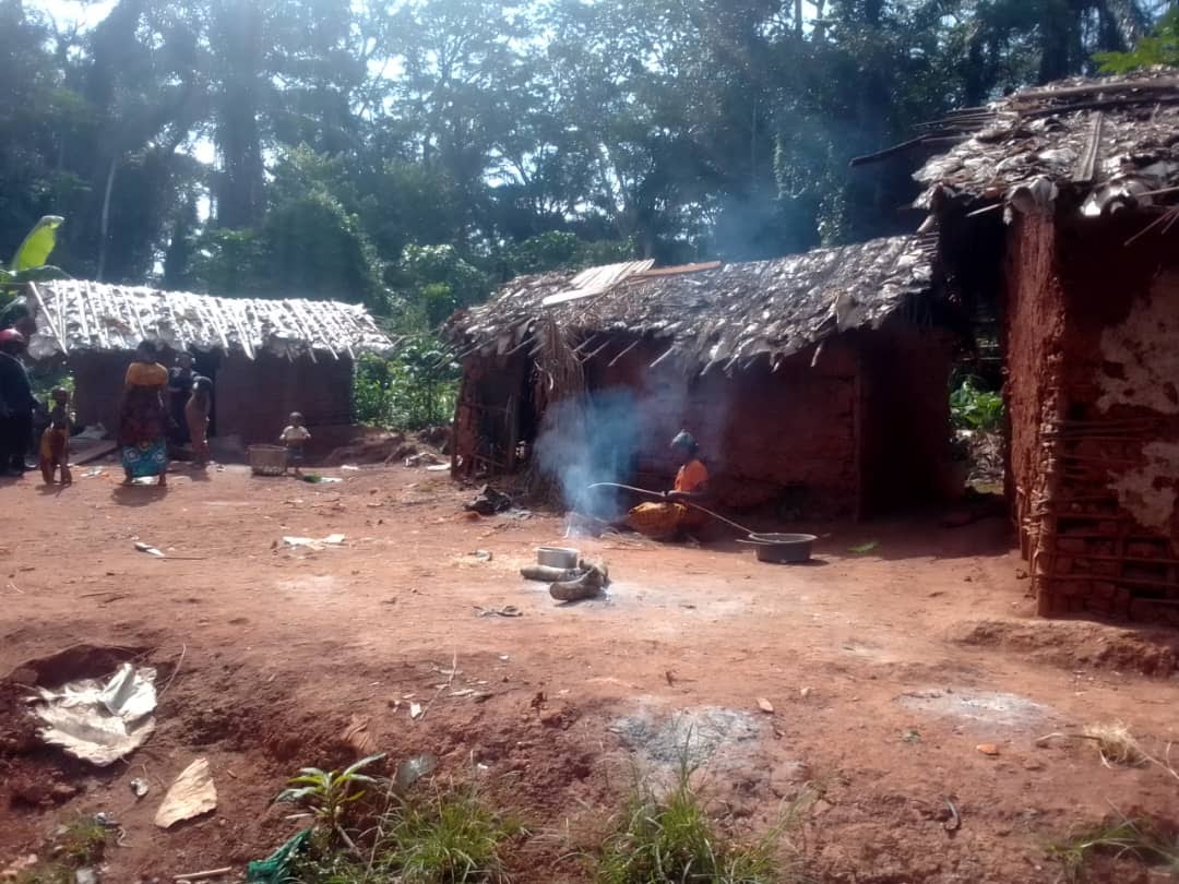 ICM - Congo Pygmy Village