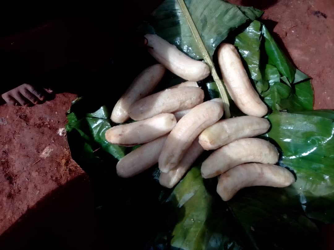 ICM - Congo Pygmy Village - Food