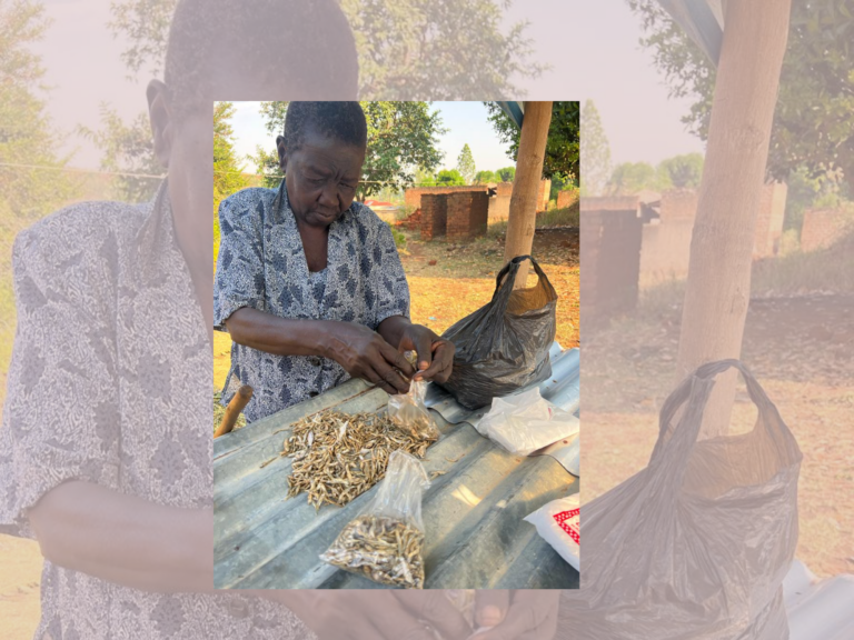 Ochiba Community (Part 2)