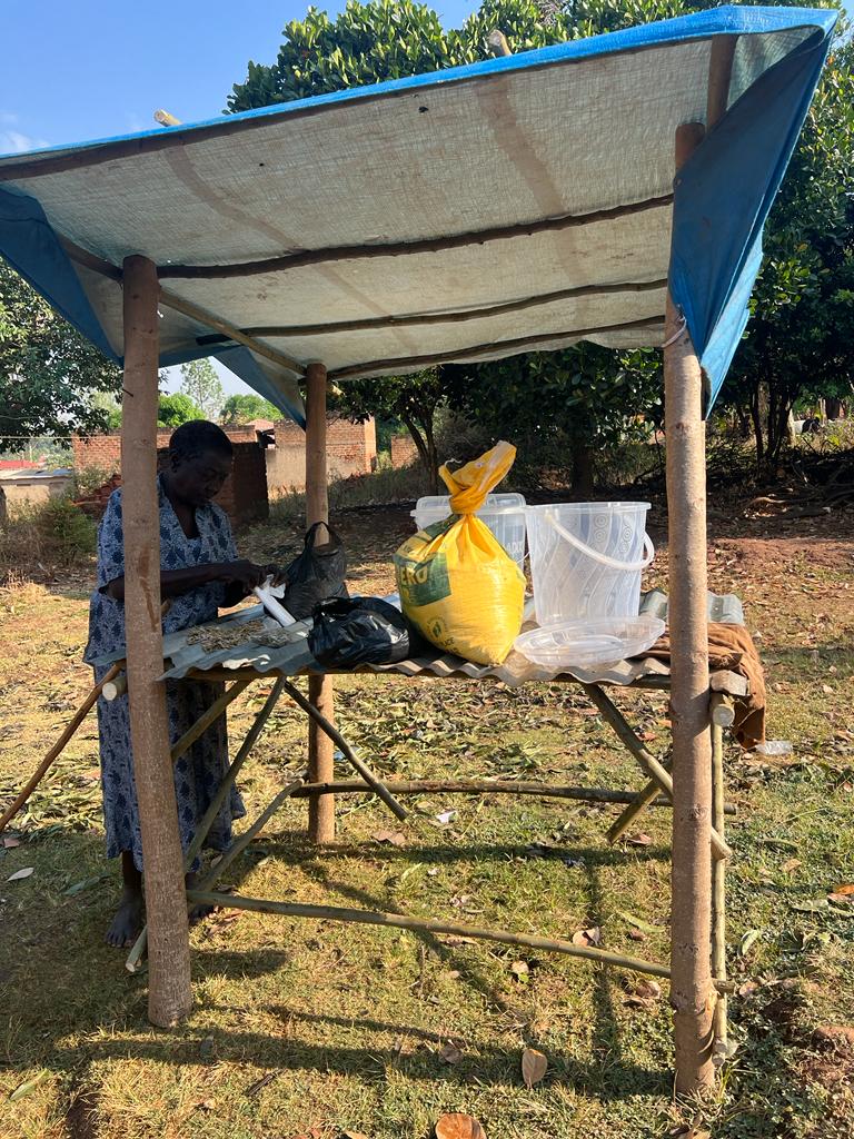 A hut in front of Mama's house to start of new business