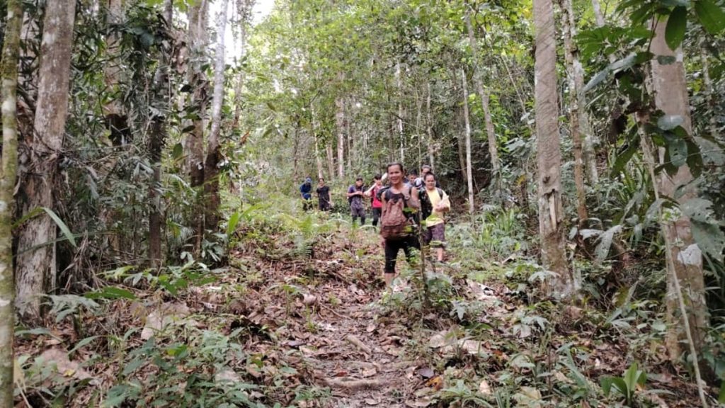 Walking through the jungle, crossing ravine and uphill mountain