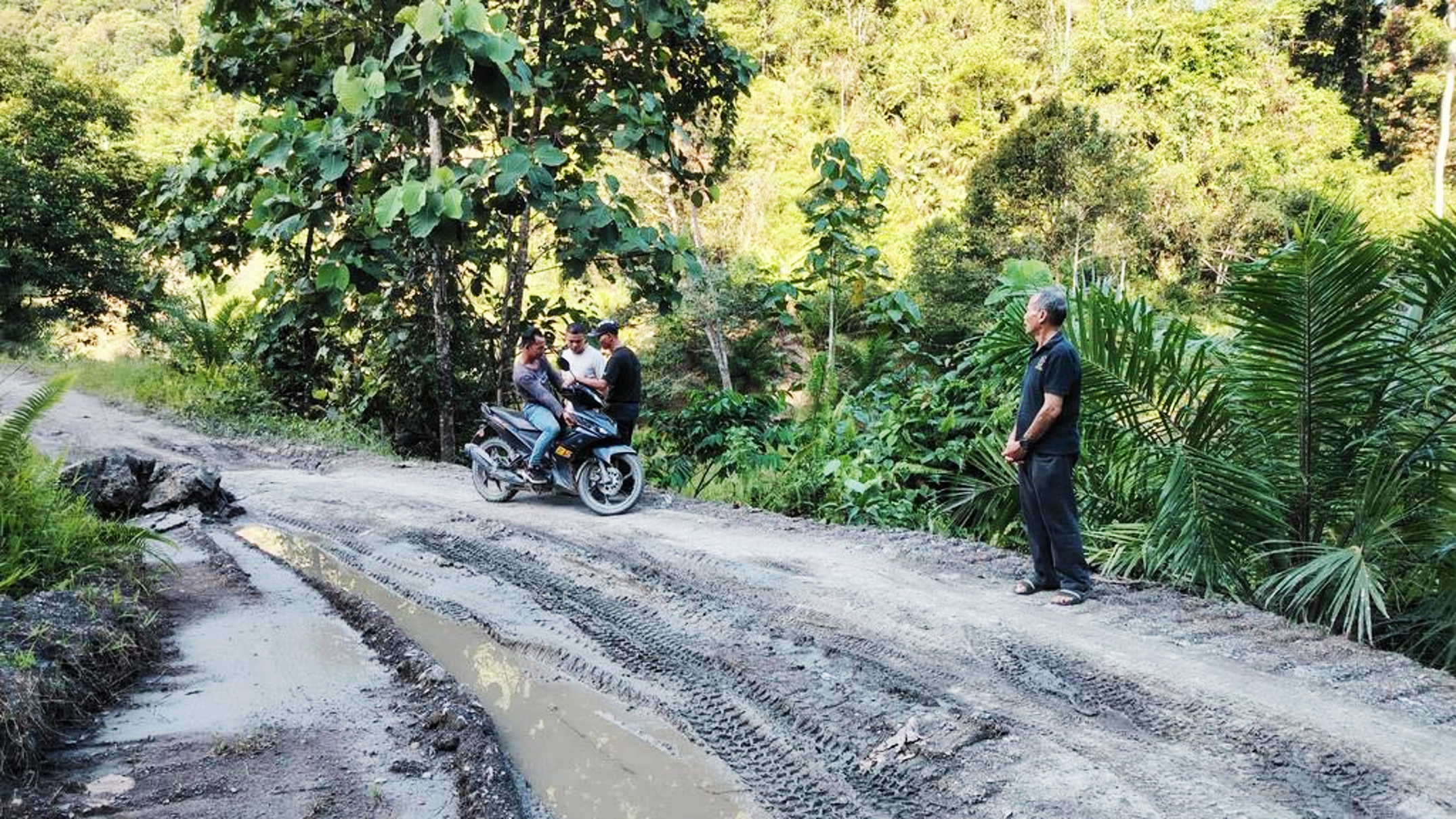 Damaged road