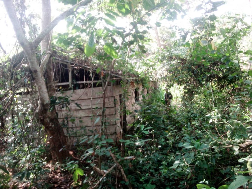 Abandoned Buildings ravaged by rebels